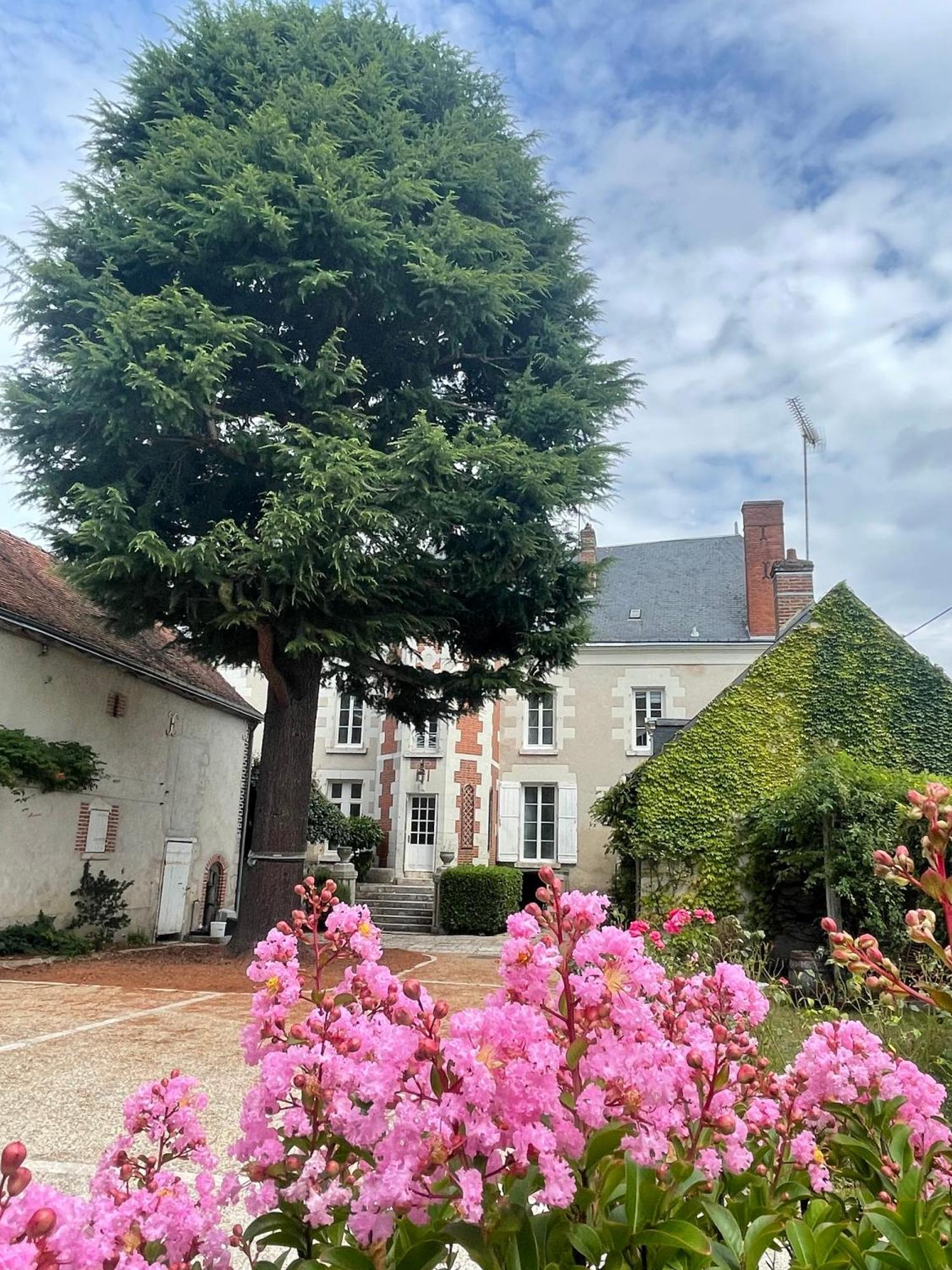 La Maison Voyage Bed And Breakfast Onzain Exterior foto